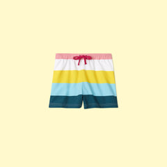 The Boys Multi Stripe Swim Trunk - Stripe